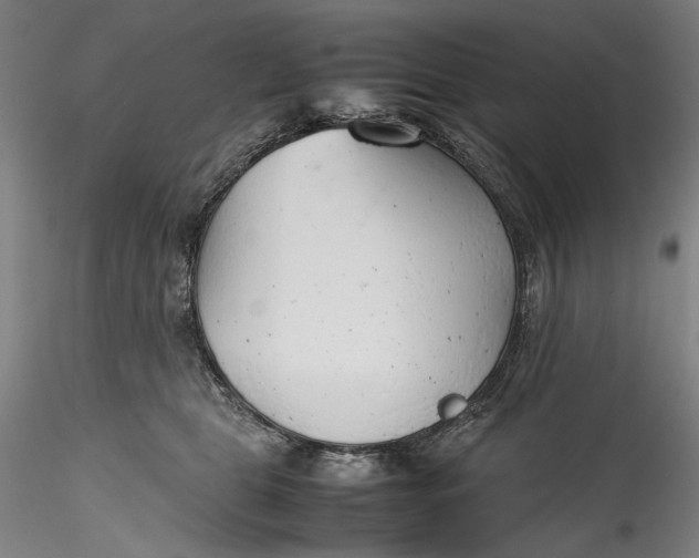 X0000115780469200911271208