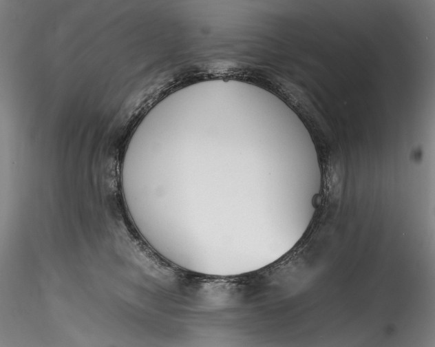 X0000115780470200911271208