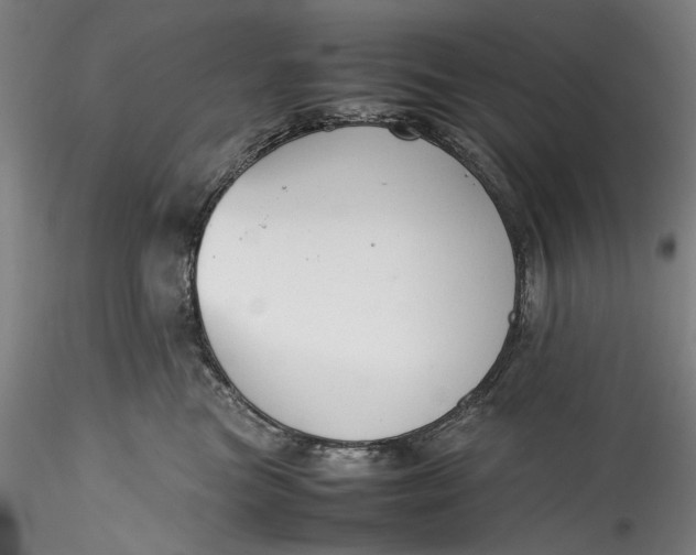 X0000115780473200911271208