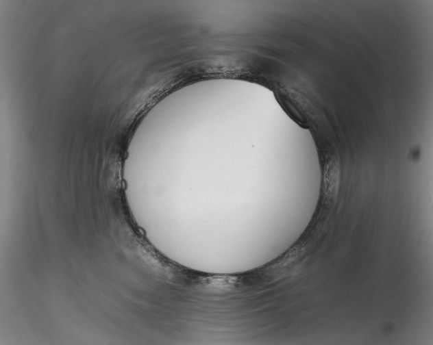 X0000115780474200911271208