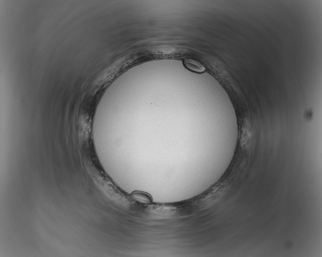 X0000115780476200911271208