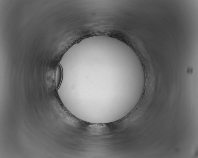 X0000115780480200911271208