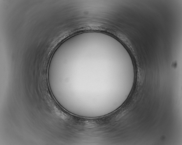 X0000115780481200911271208