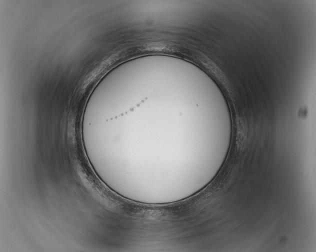 X0000115780482200911271208