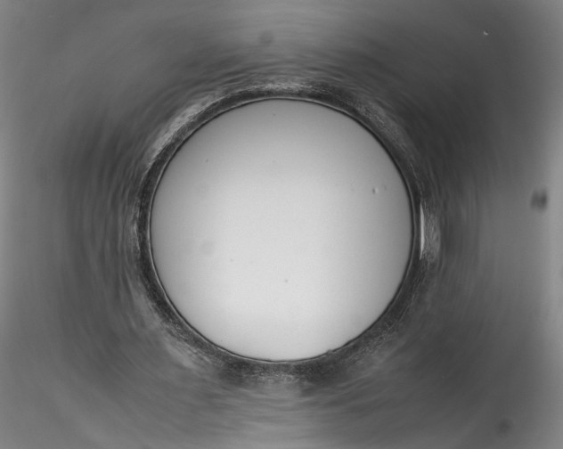 X0000115780483200911271208