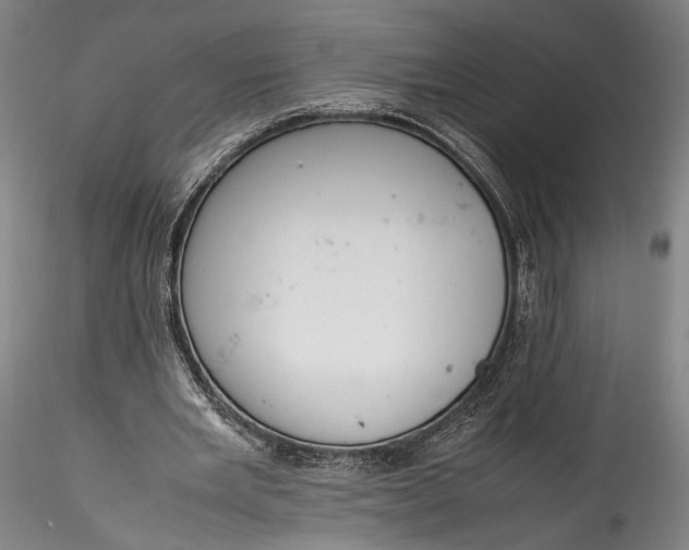 X0000115780485200911271208