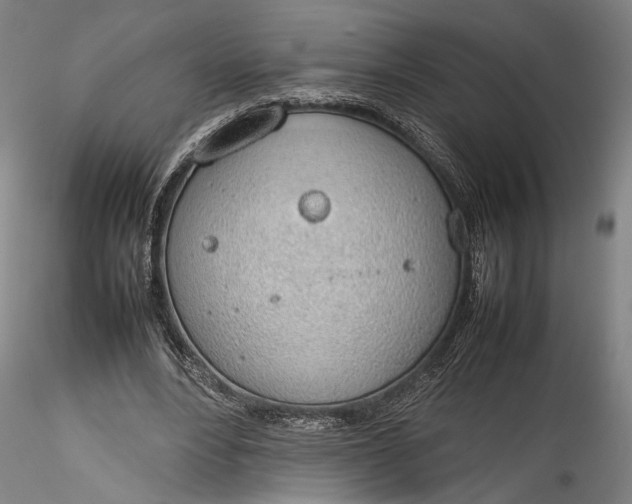 X0000115780488200911271208