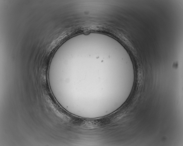 X0000115780489200911271208