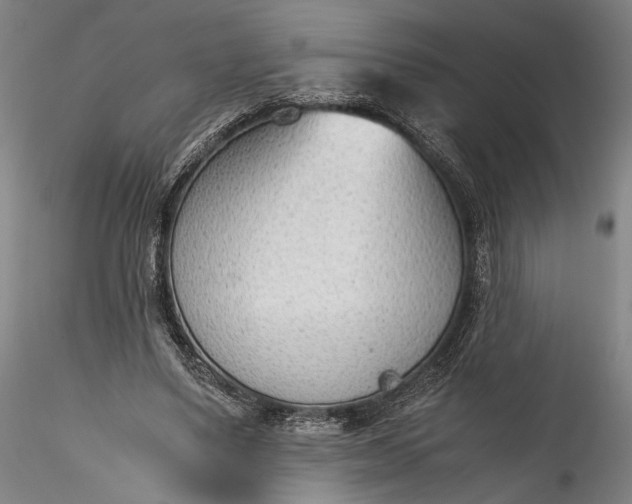 X0000115780491200911271207