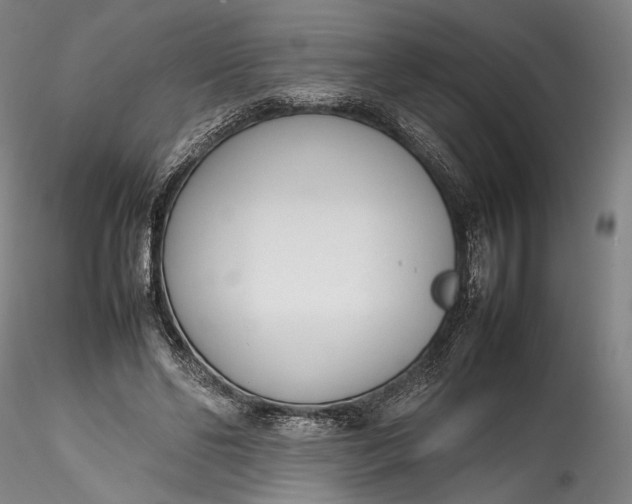 X0000115780494200911271207