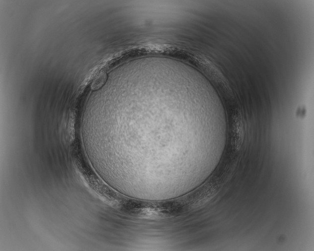 X0000115780496200911271207