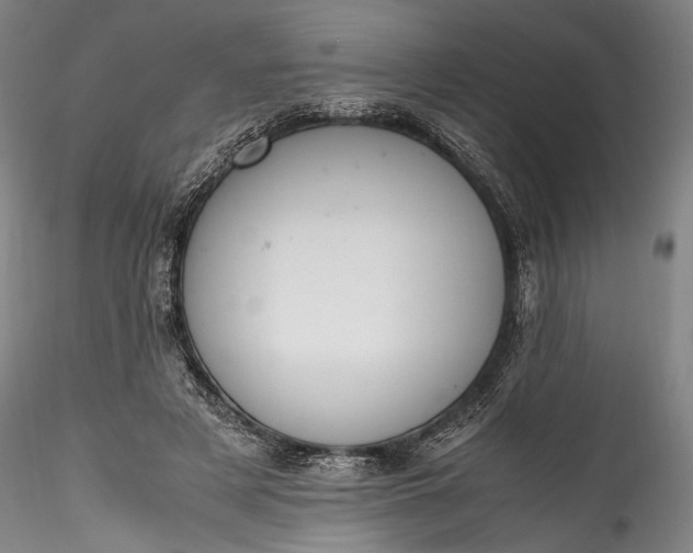 X0000115780497200911271207