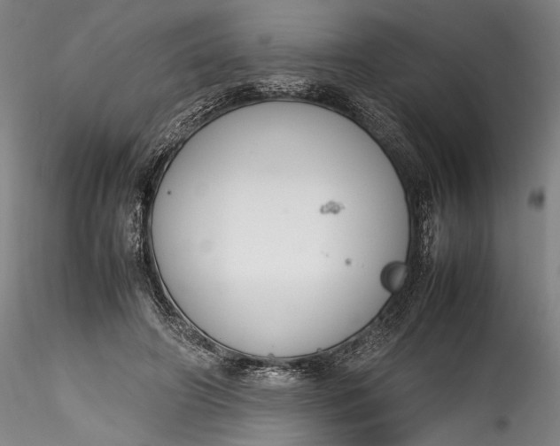 X0000115780498200911271207