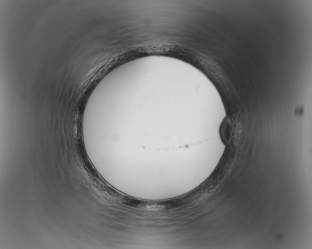 X0000115780501200911271207