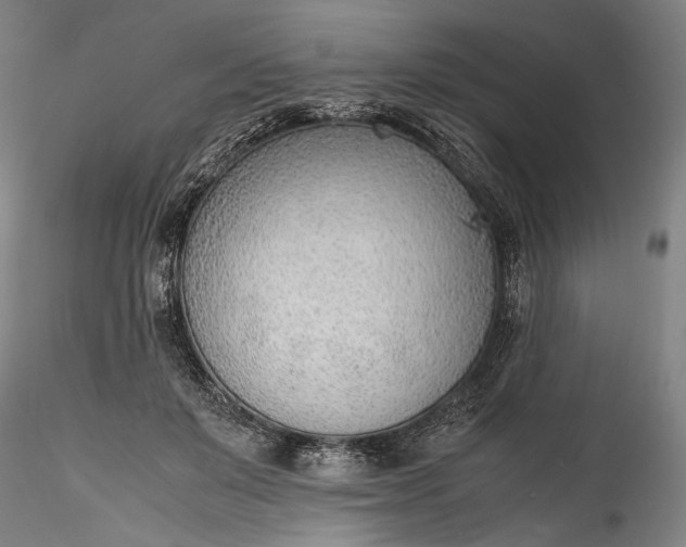 X0000115780503200911271207