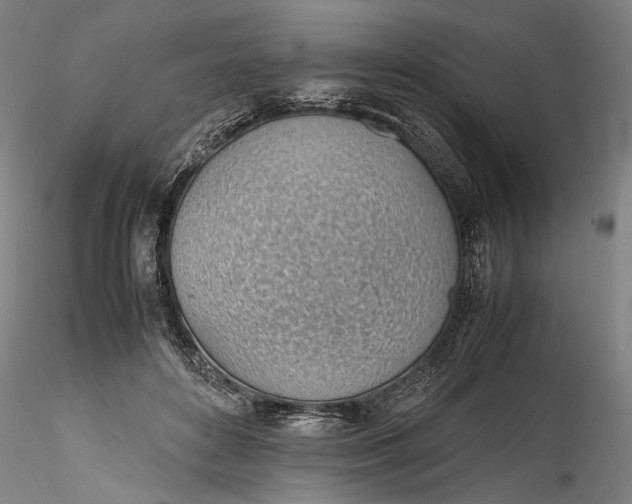 X0000115780504200911271207