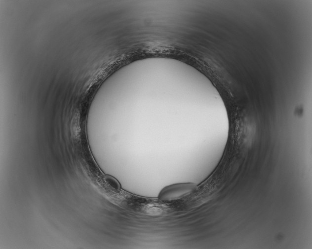 X0000115780508200911271207