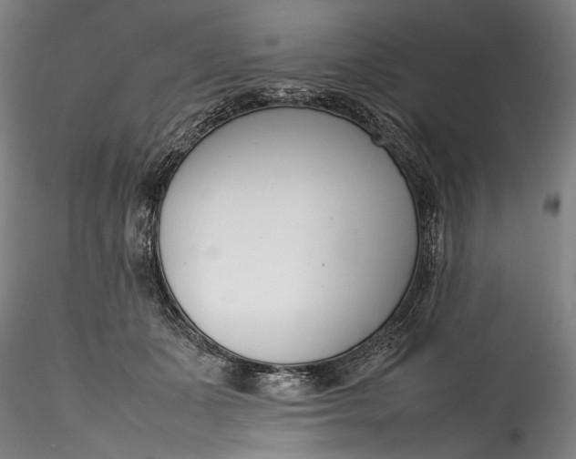 X0000115780511200911271207