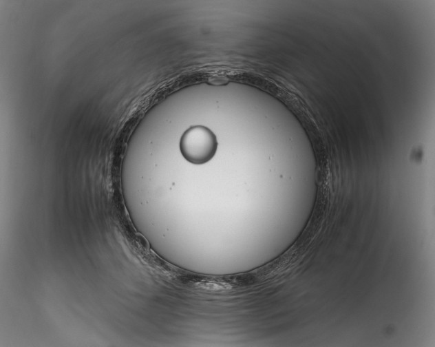 X0000115780512200911271207