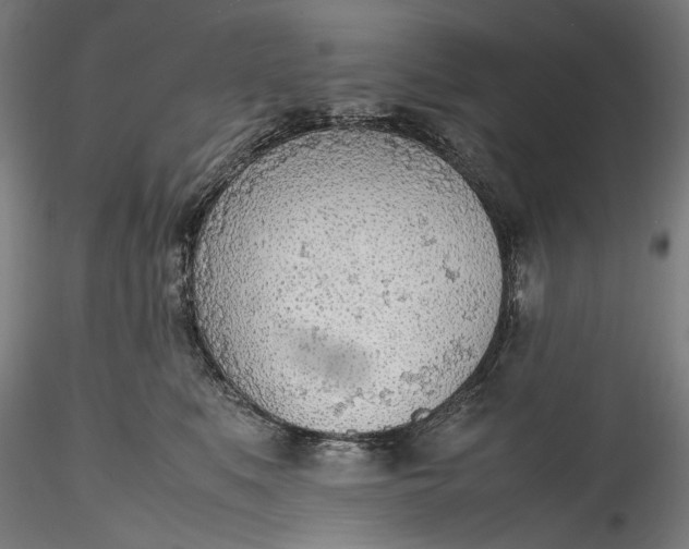 X0000115780519200911271207