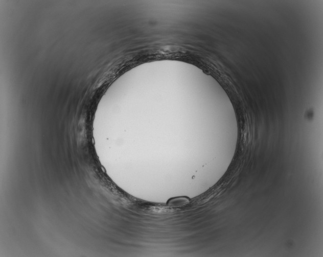 X0000115780520200911271207