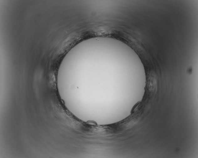 X0000115780523200911271207