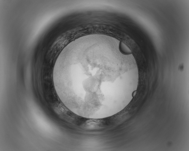 X0000115780526200911271207