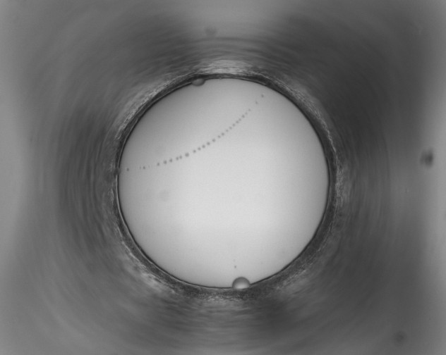 X0000115780529200911271206