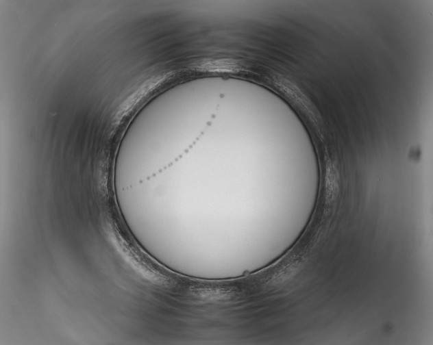 X0000115780533200911271206