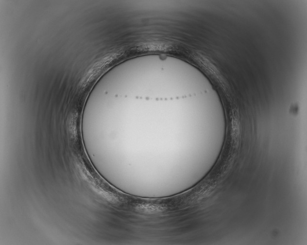 X0000115780537200911271206