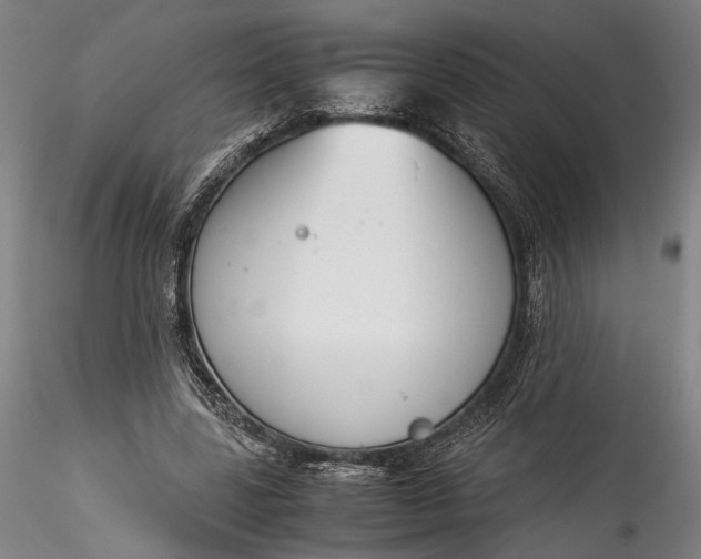 X0000115780539200911271206