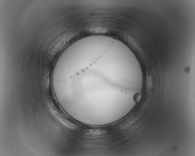 X0000115780541200911271206