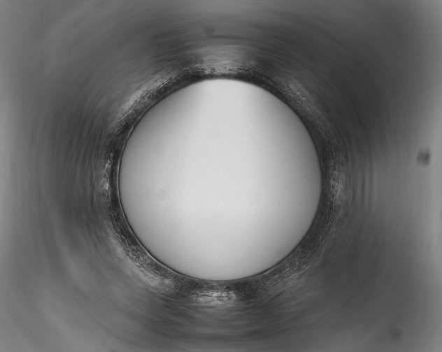 X0000115780543200911271206