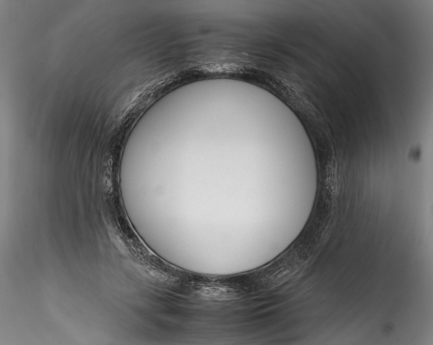 X0000115780547200911271206