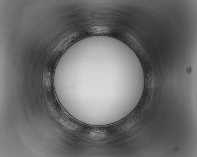 X0000115780549200911271206