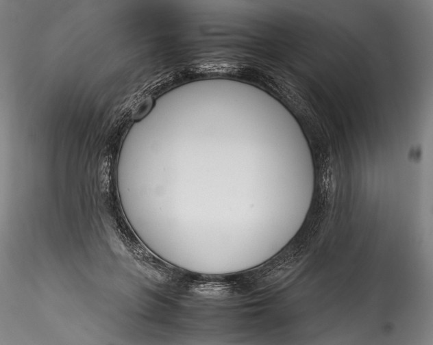 X0000115780551200911271206