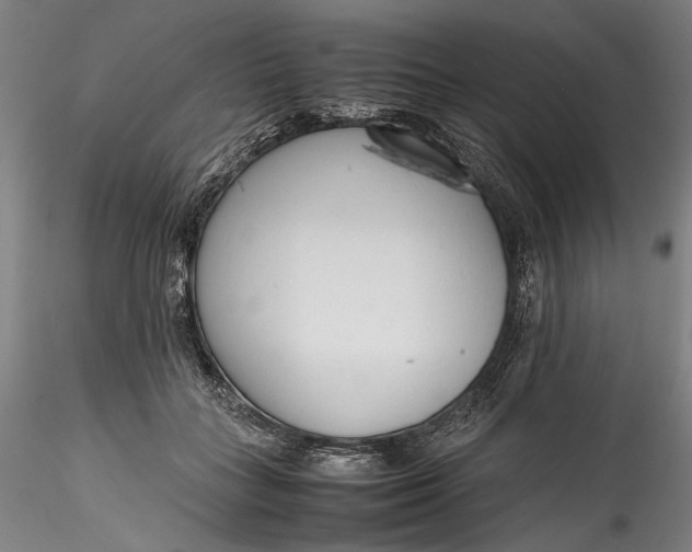 X0000115780555200911271207