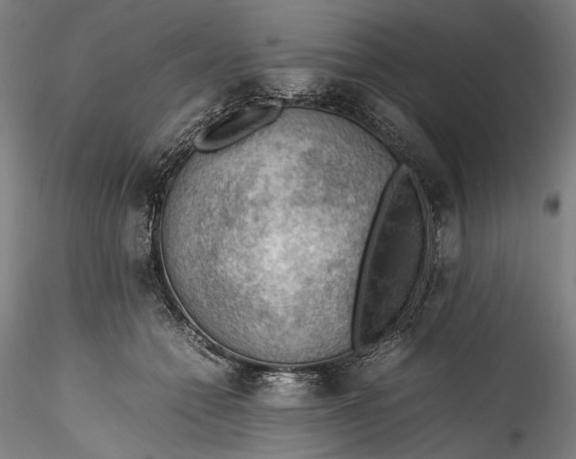 X0000115780558200911271207