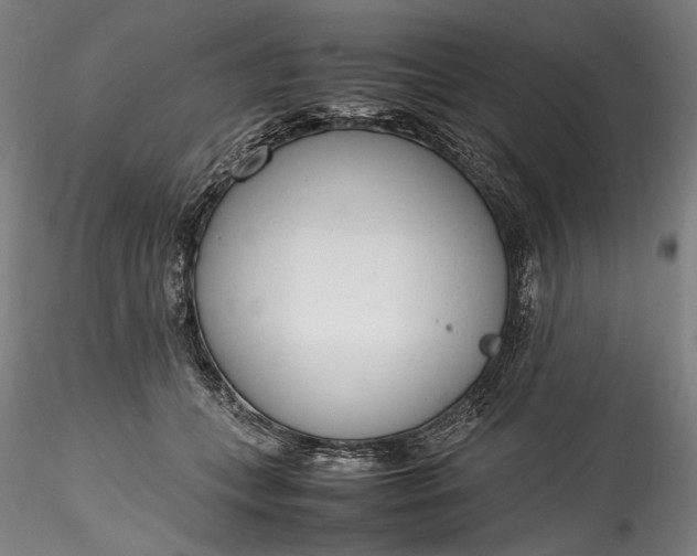 X0000115780559200911271207