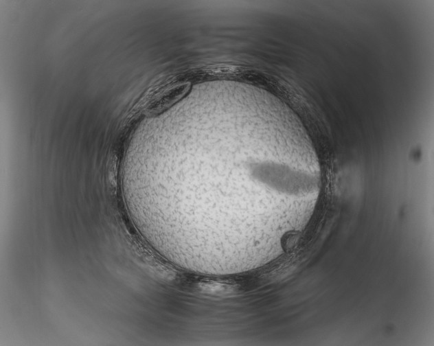 X0000115780561200911271207