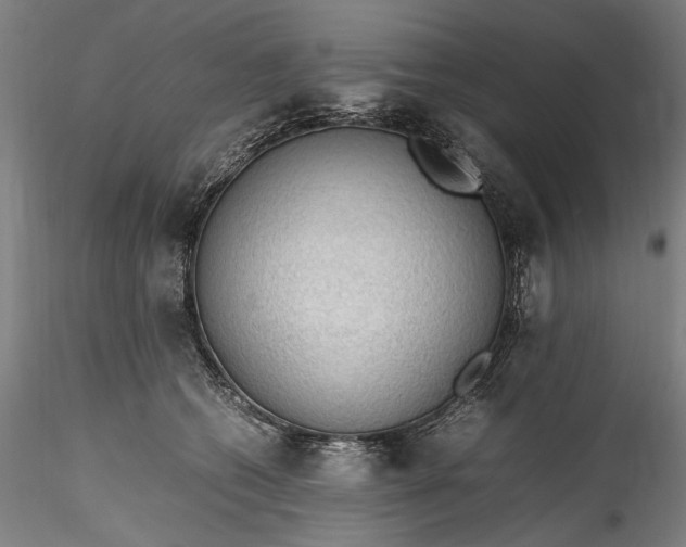 X0000115780562200911271207