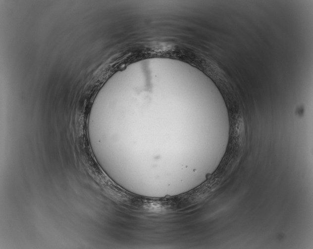 X0000115780565200911271207