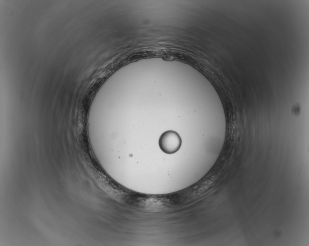 X0000115780566200911271207