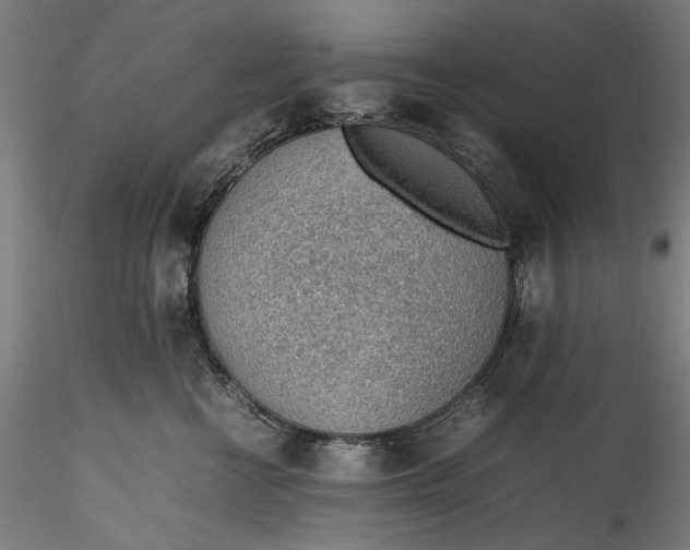 X0000115780570200911271207