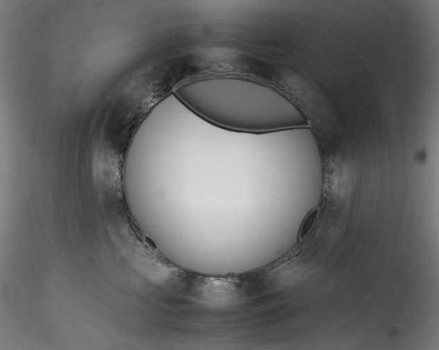 X0000115780573200911271207