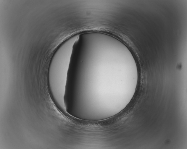 X0000115780577200911271206