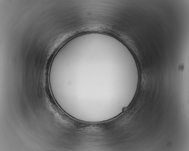 X0000115780578200911271206