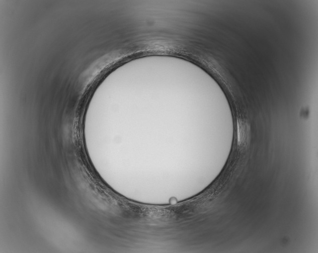 X0000115780579200911271206