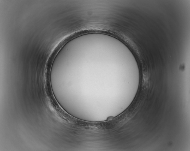 X0000115780580200911271206