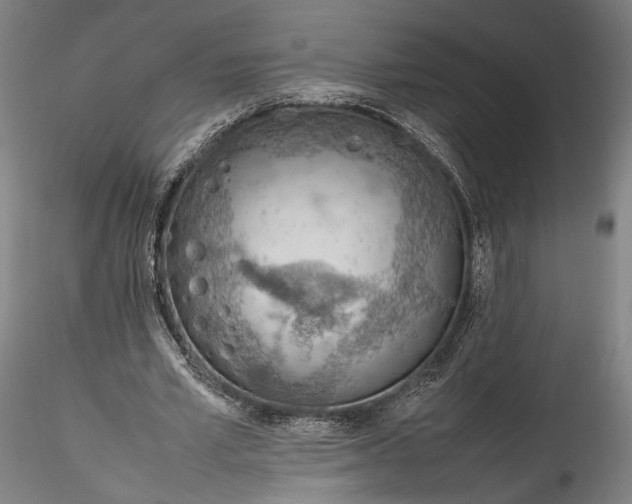 X0000115780581200911271206